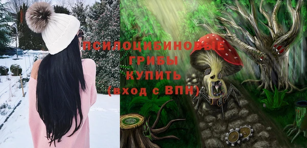 индика Алексин