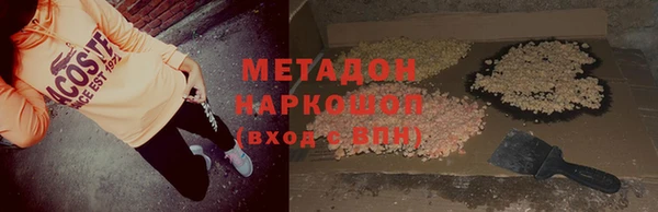 индика Алексин