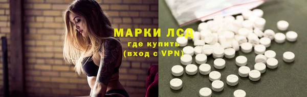 индика Алексин