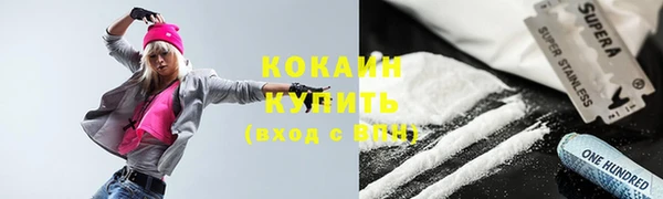 индика Алексин