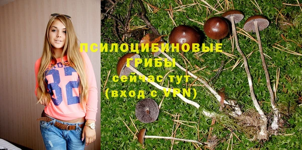ГАЛЛЮЦИНОГЕННЫЕ ГРИБЫ Армянск