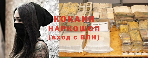 индика Алексин