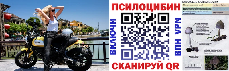 Псилоцибиновые грибы MAGIC MUSHROOMS  Жирновск 